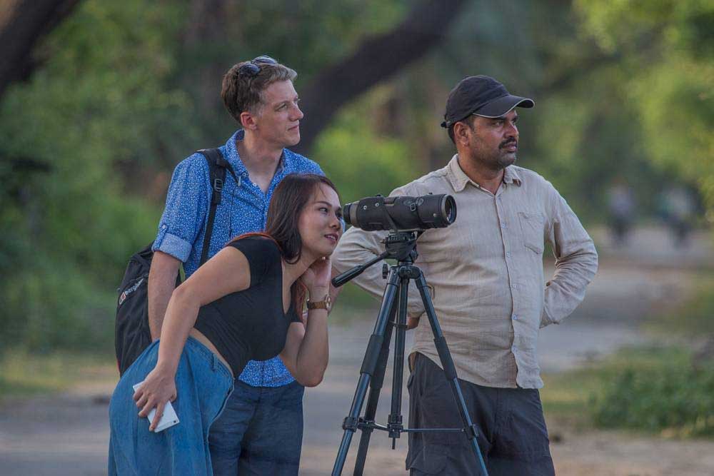 7 Nights 8 Days Golden Triangle Tour with Bharatpur Ranthambore