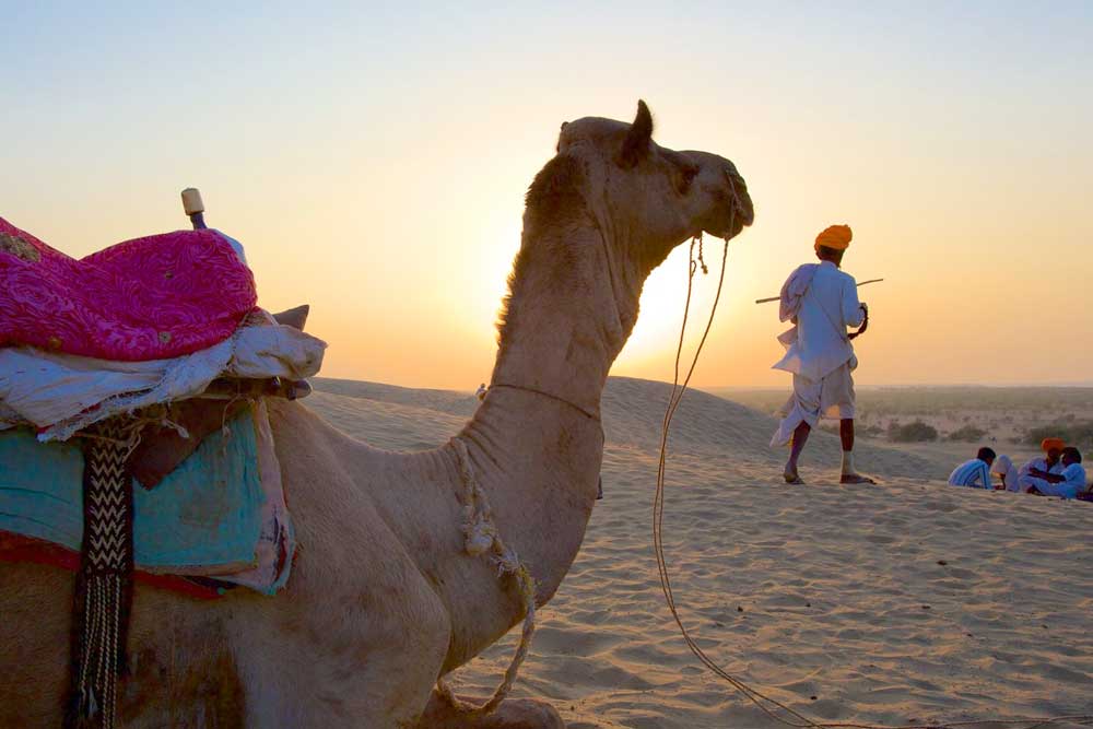 Romance of The Desert