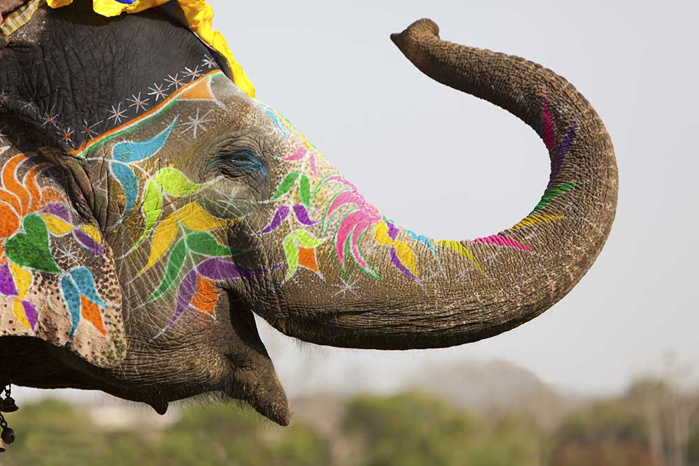 Enchanting Rajasthan Tour