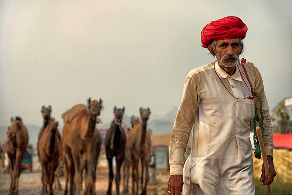 Rajasthan Tours
